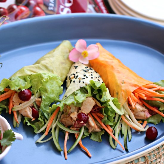 Cranberry Chicken Salad Soy Wrapped