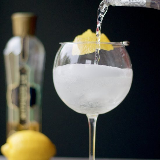 Elderflower Gin and Tonic