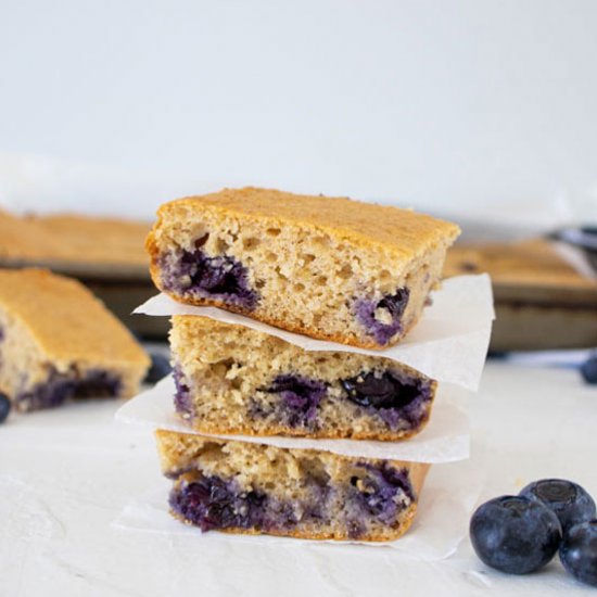 Blueberry Protein Bars