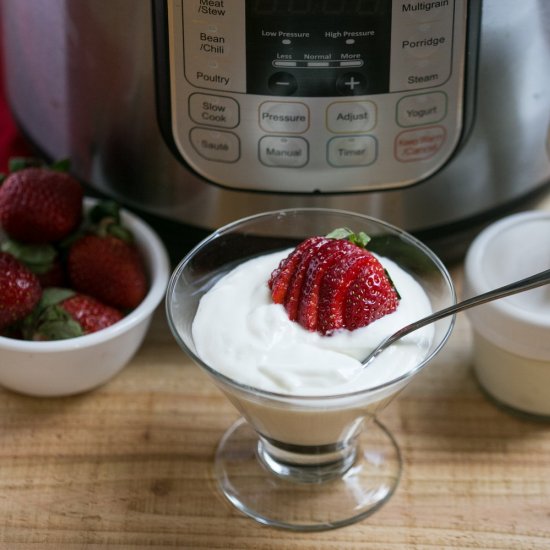 How to Make Low Carb Yogurt