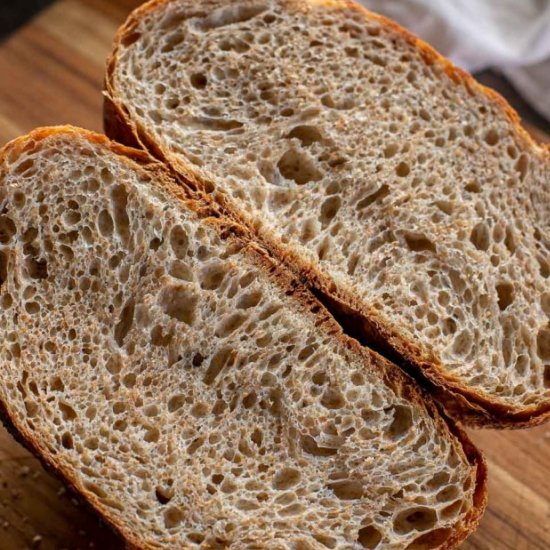 Quick No Knead Bread