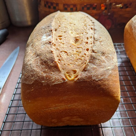 Bread Baking 101