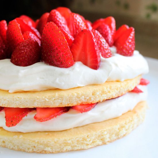 Shortcake