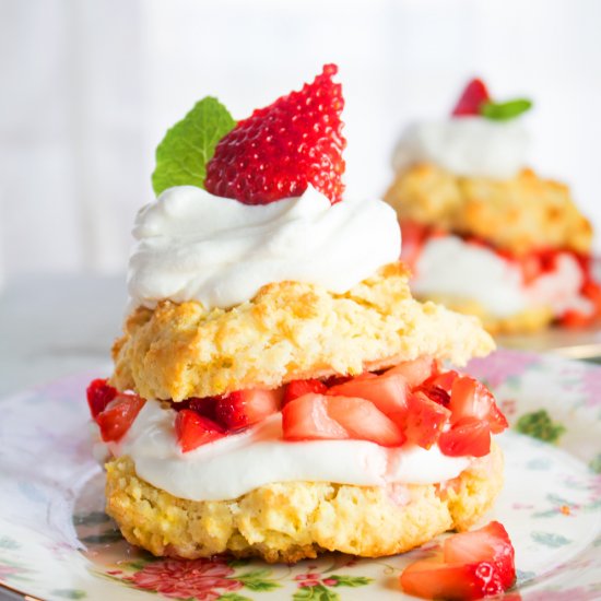 Strawberry Shortcake