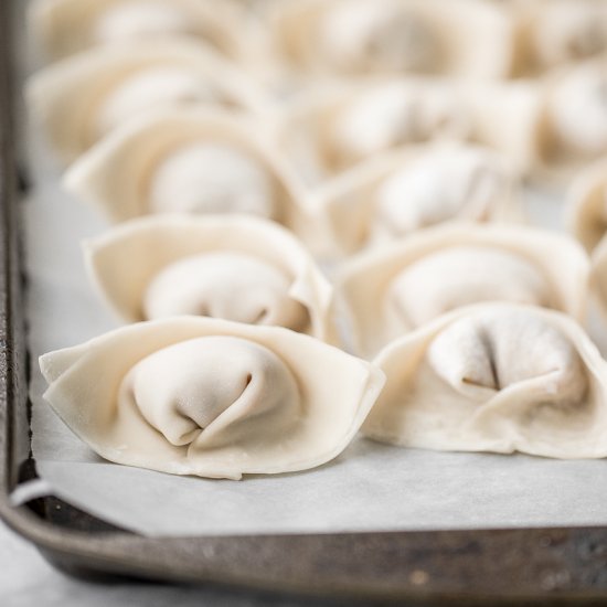 Chicken and Cilantro Wontons