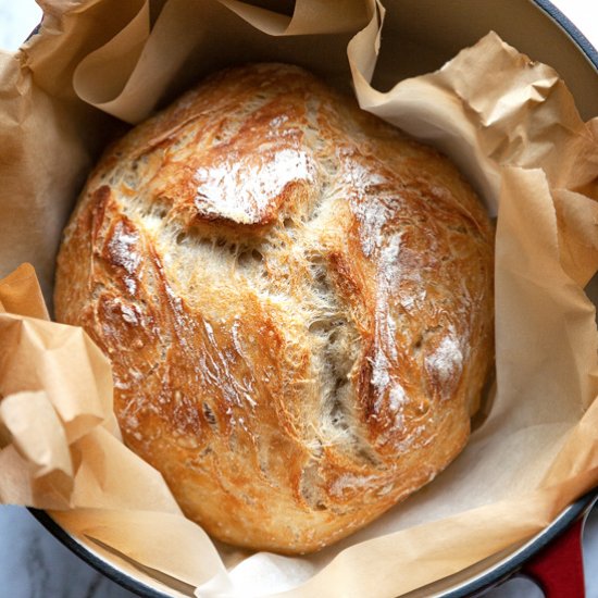 Artisan No Knead Bread