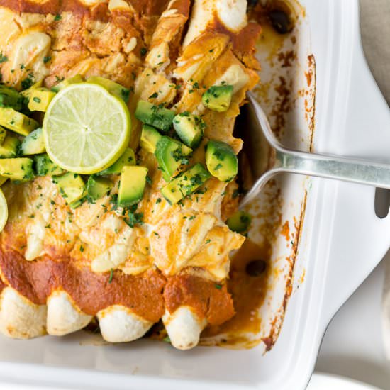 Vegan Enchiladas