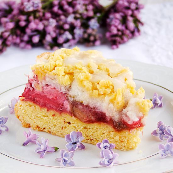 cake with rhubarb and coconut merin