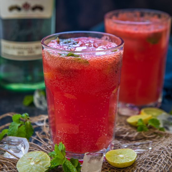 Watermelon Mojito