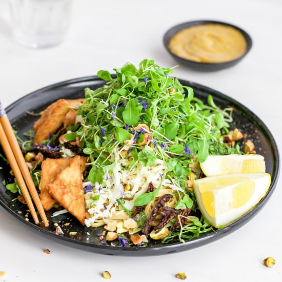 Vegan Soba Noodle Salad