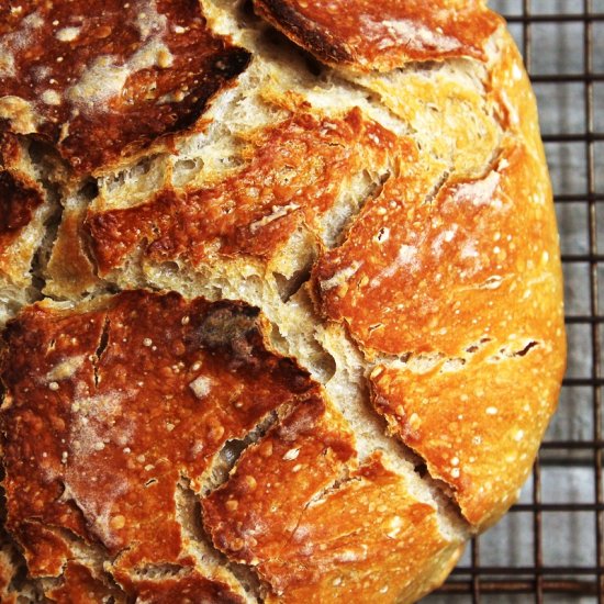 Easy Dutch Oven Bread