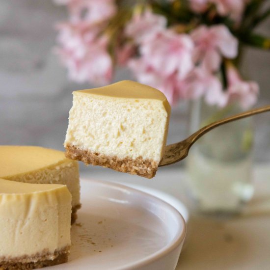 4- inch Mini Cheesecake