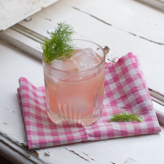 Rhubarb Fennel Vermouth Cocktail