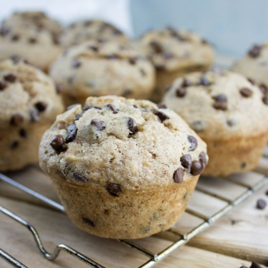 Banana Chocolate Chip Muffins