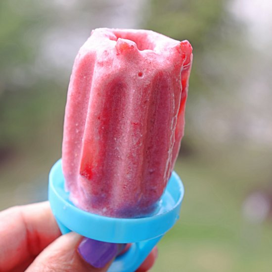 Strawberry Coconut Milk Popsicle