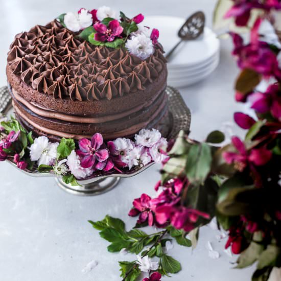 Vegan Chocolate Raspberry Cake