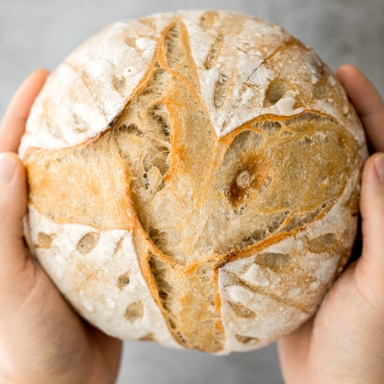 Small Batch Sourdough Bread