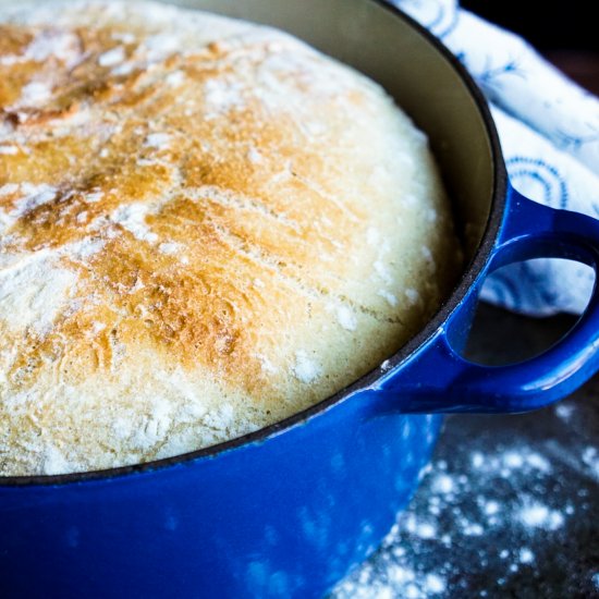 Easy Dutch Oven Rustic Bread