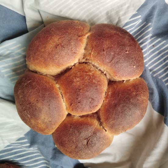 Honey Whole Wheat Challah