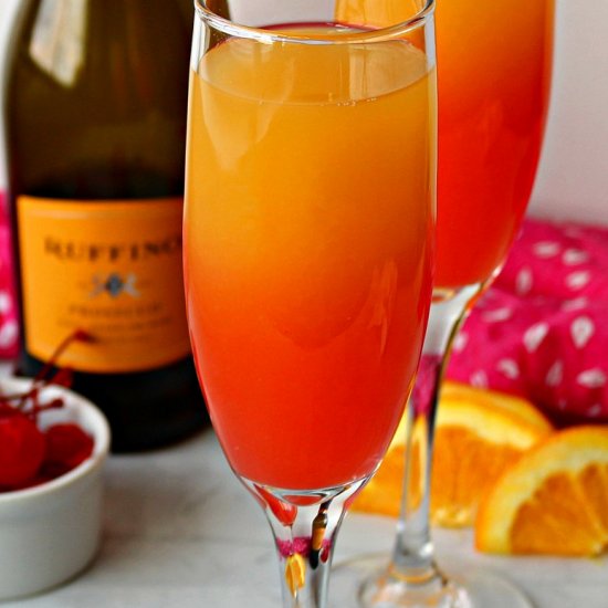 Sunrise Mimosa