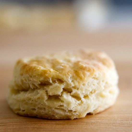 Average, Amazing Biscuits