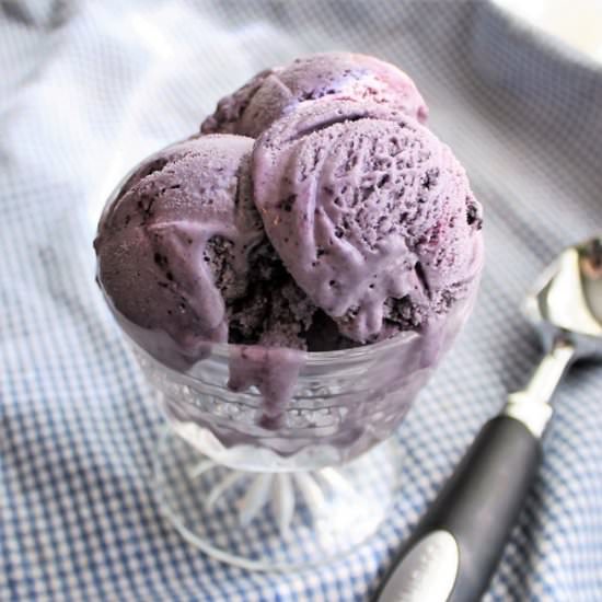 Blueberry Swirl Gelato