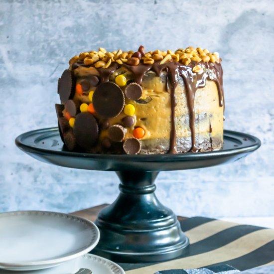 Peanut Butter Mousse and Cake