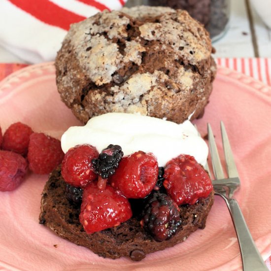 Chocolate Shortcakes w/Choc Chips