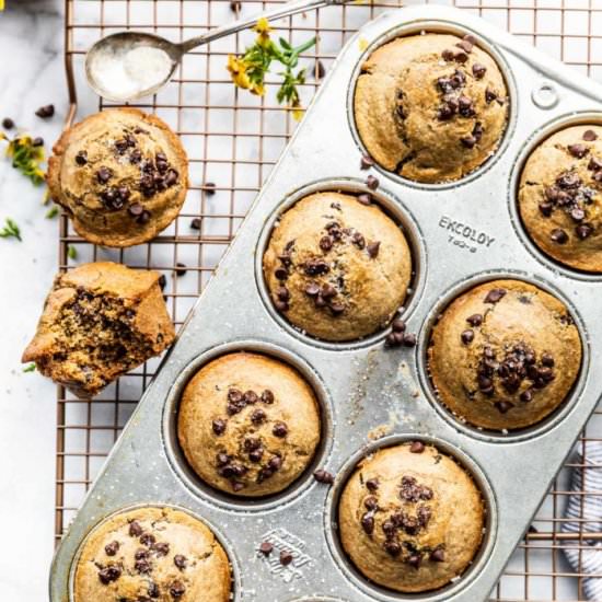 Chocolate Chip Protein Muffins