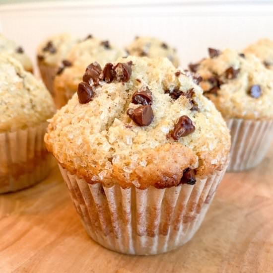 Chocolate Chip Muffins