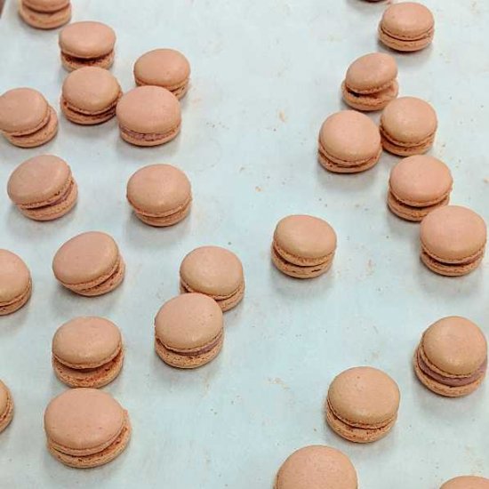 Classic French Macarons