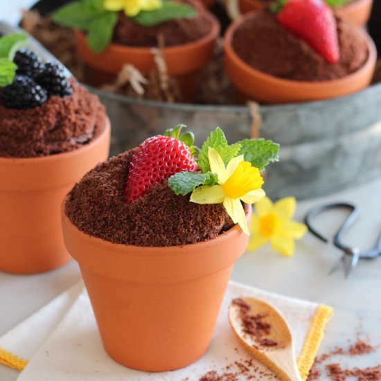 Spring Flower Pot Cakes