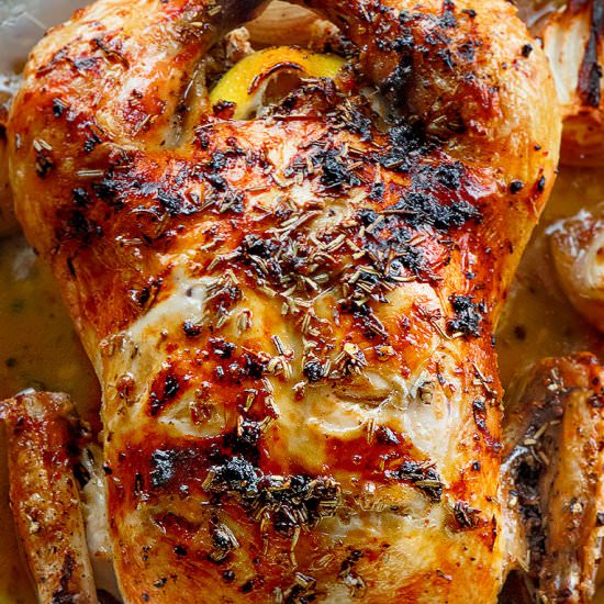 Lemon Garlic Roast Chicken