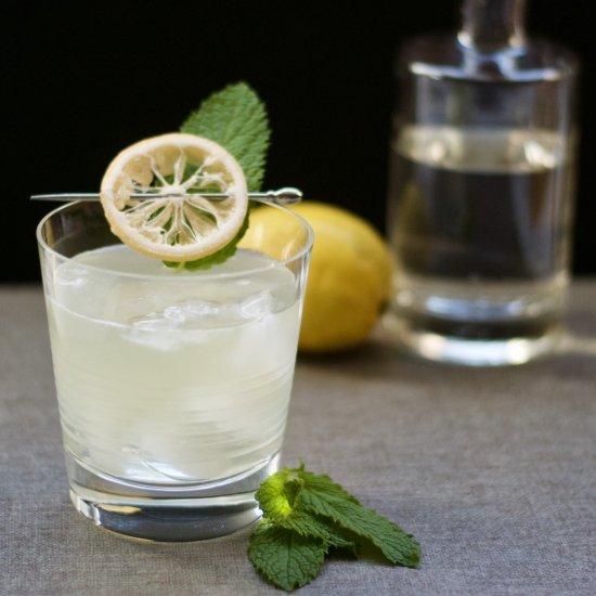 Sauvignon Gin Cocktail