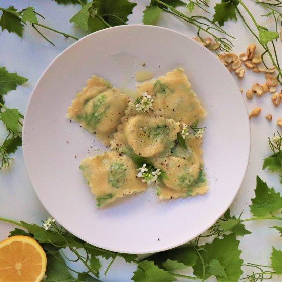 Laminated Garlic Mustard Ravioli