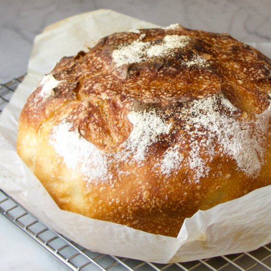 No-Knead Sourdough Bread