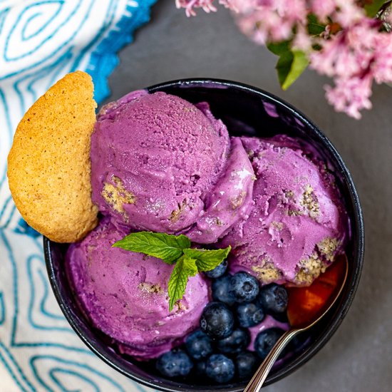 Best Blueberry Frozen Yogurt