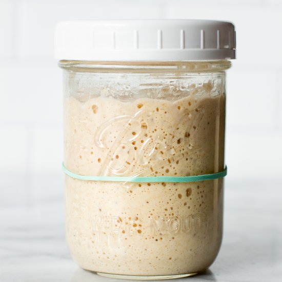 How To Maintain a Sourdough Starter