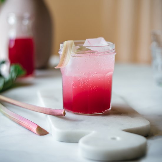 Ruby Rhubarb Shrub Fizz