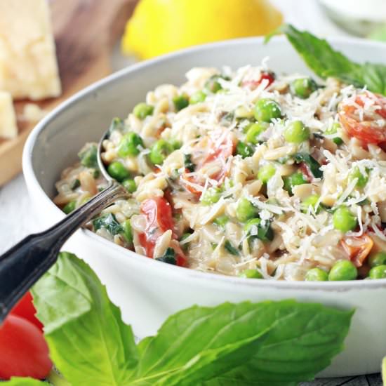 Creamy Garlic Roasted Tomato Orzo