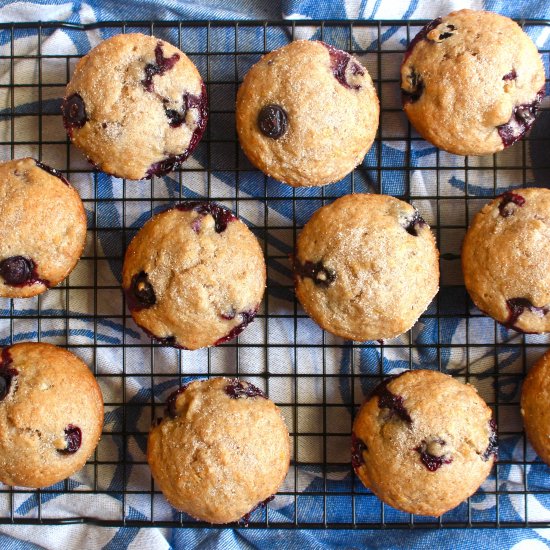 Vegan Blueberry Banana Muffins