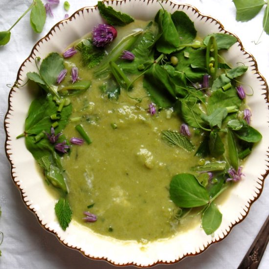 Fresh Spring Pea Soup