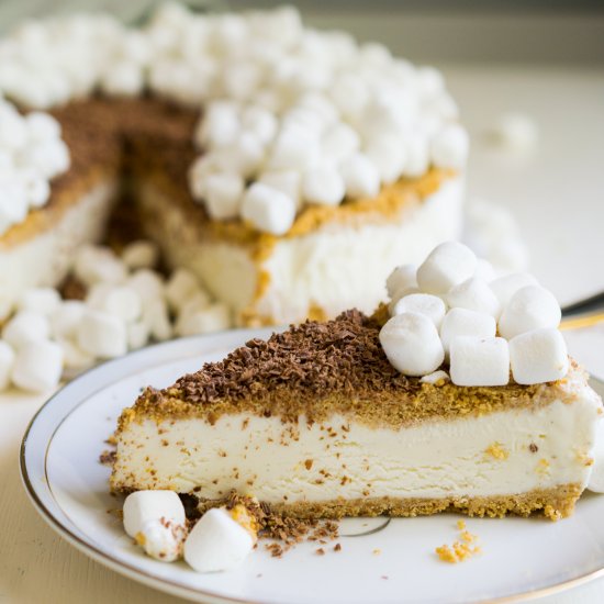 Smores Ice Cream Cake