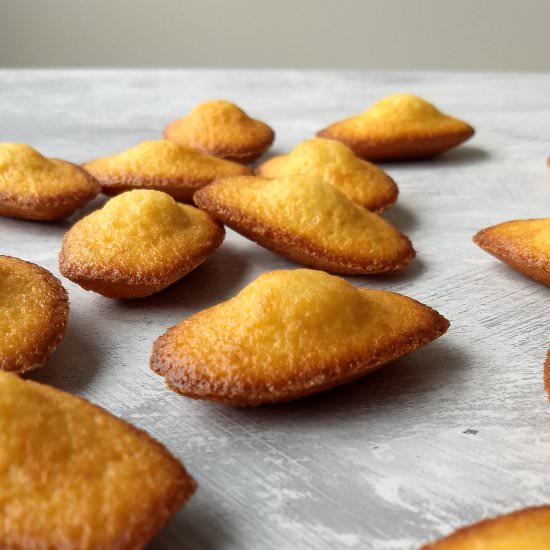 Madeleines