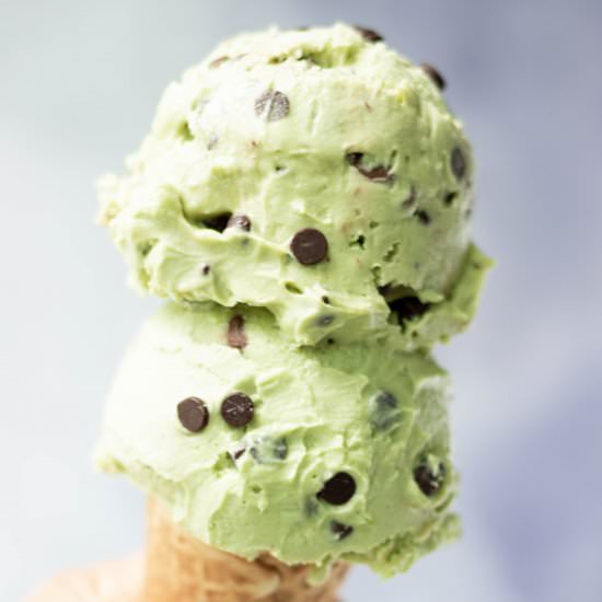 Vegan Mint Chocolate Chip Ice Cream