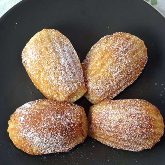 Honey madeleines