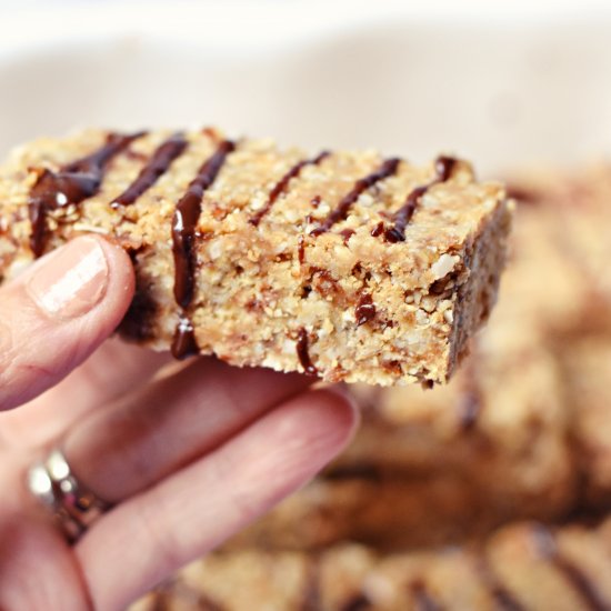 Easy Raw Protein Granola Bars