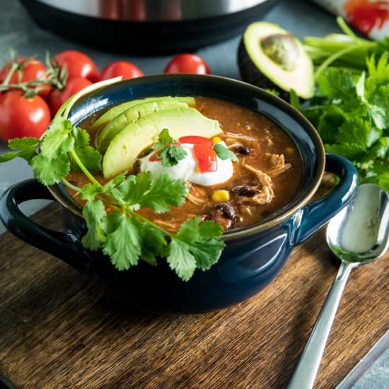 Instant Pot Mexican Chicken Soup