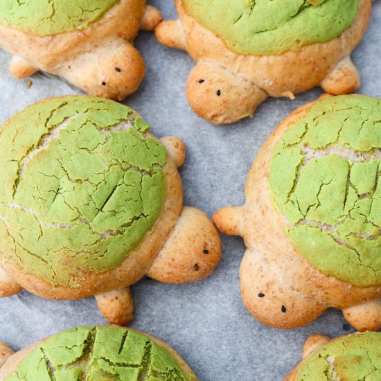 Turtle Brioche Buns