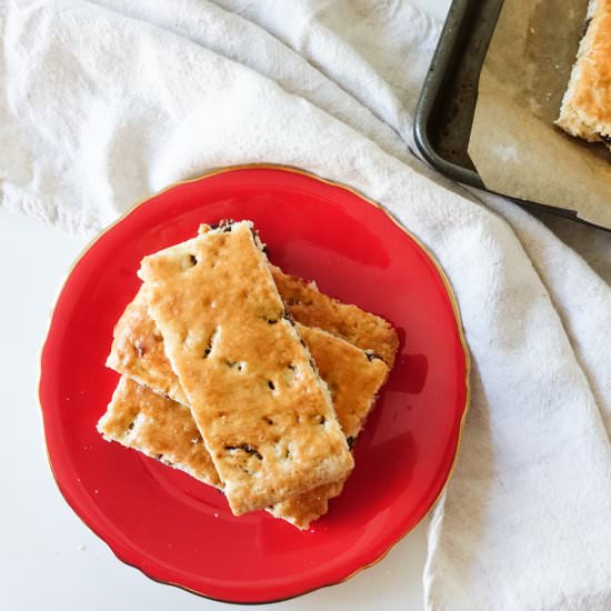 Garibaldi Raisin Biscuits